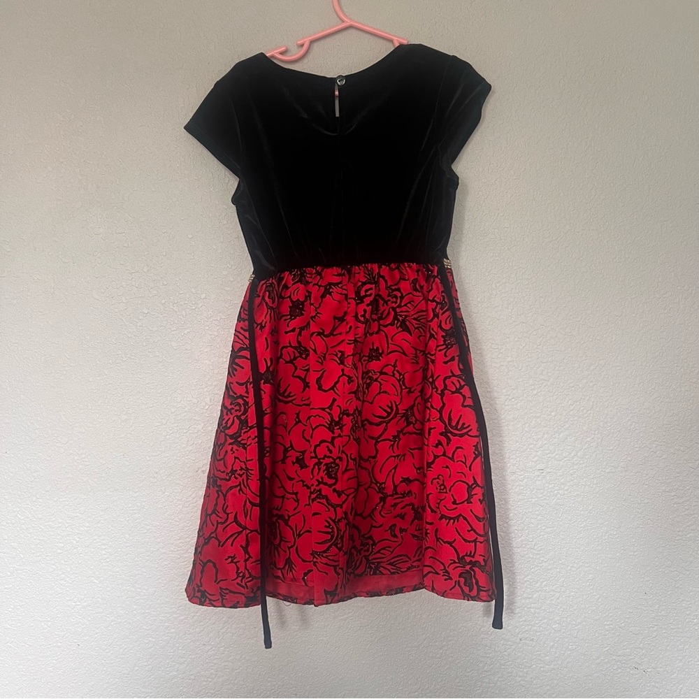Sweet Heart Rose Black Velvet and Red Floral Mini Dress
